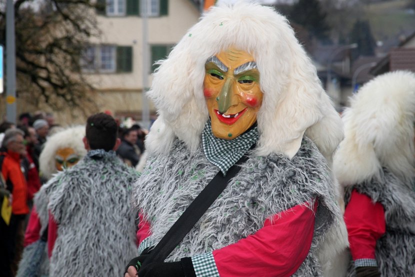 Sarmenstorf Fasnachtsumzug 16.02.2014 (17)